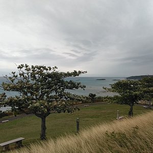 10年ぶりの沖縄観光に行ってきました
