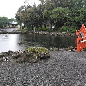 富士山本宮浅間大社に行ってきました