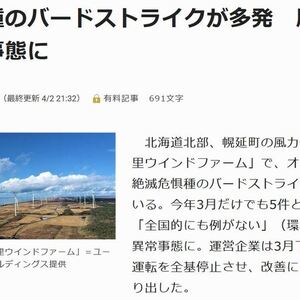 風力発電の記事