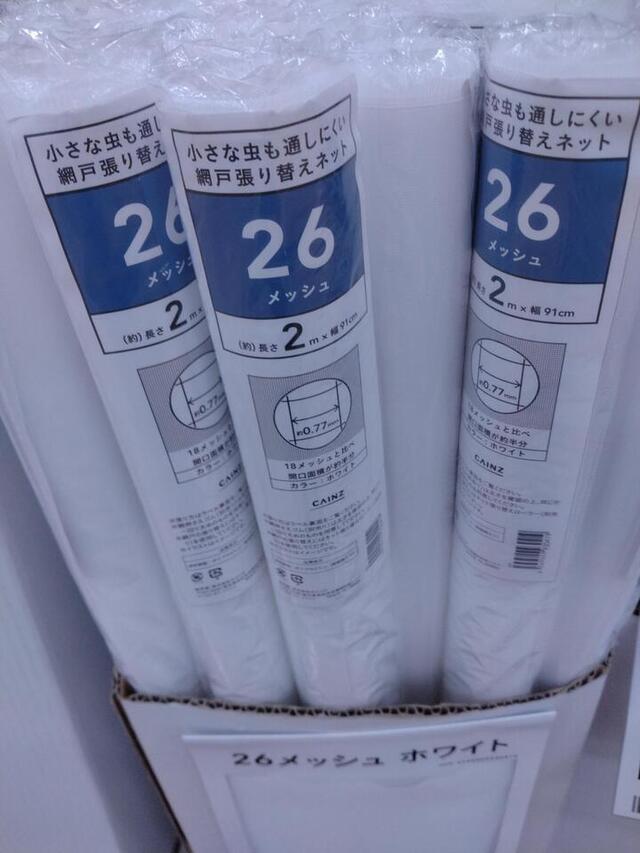 20250621081058-79b9fd9b9635fb0a9ed1ad3a7f2b4bc3f93a49b9.jpg