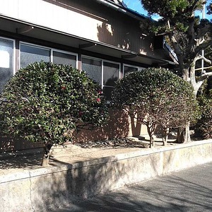 御前崎市　神社の社務所　外壁はりかえリフォーム工事