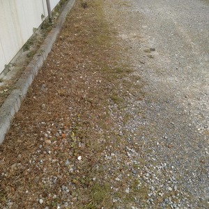 牧之原市　S様戸建て賃貸住宅　敷地草刈り工事